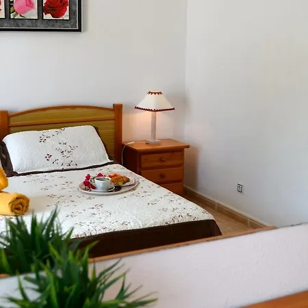 公寓 Triplex Playa Fanabe 美洲海滩